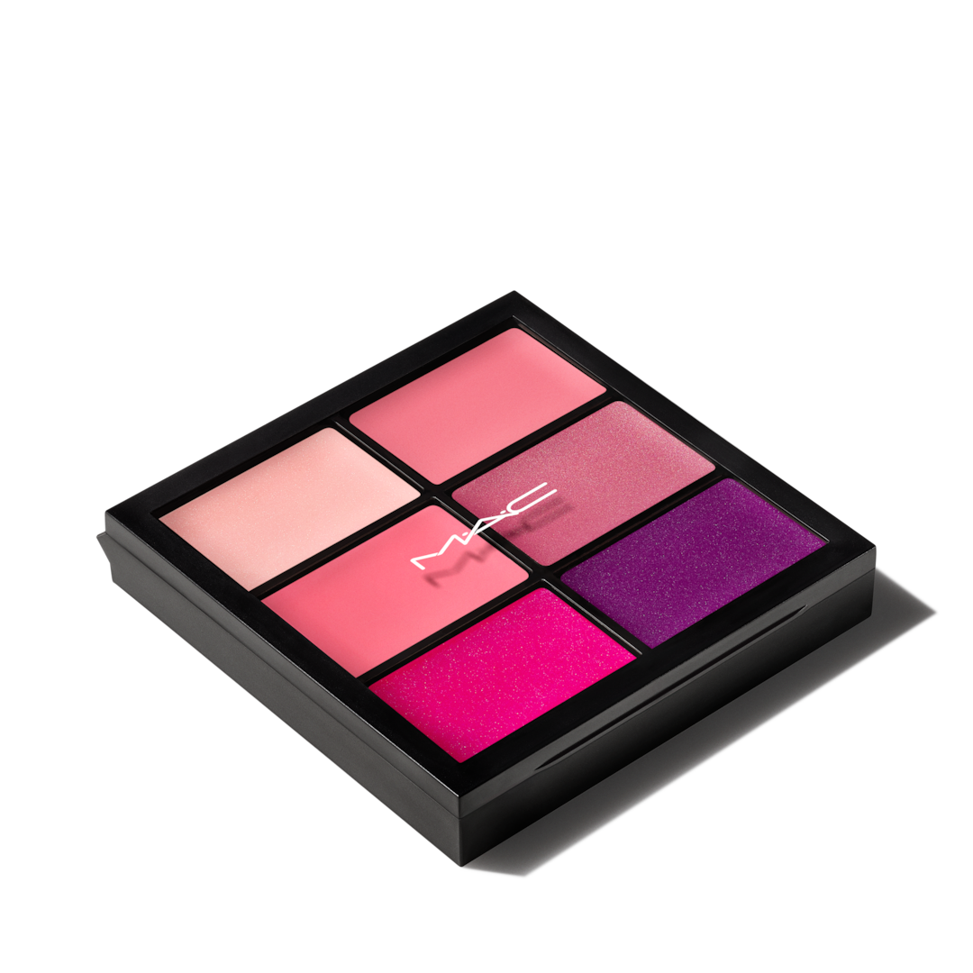 PRO Lip Palette / 6 Preferred Pinks